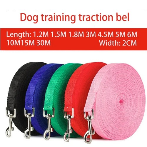 Extra long dog training - dog, lead