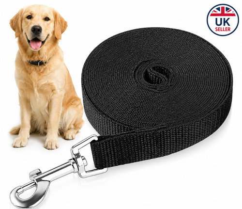 Extra long dog training - extra,