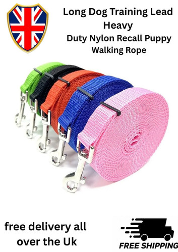 Long dog training lead - long,