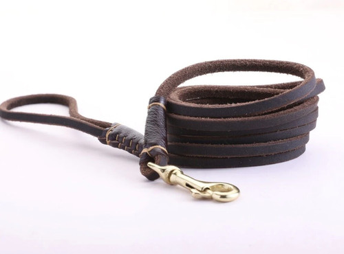 Leather dog leash - dog,