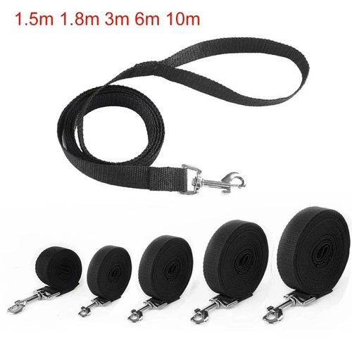 Extra long dog training - extra, lead
