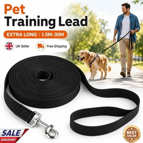 Extra long dog training - dog, lead