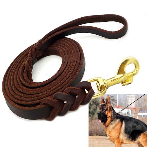 Leather braided dog leash - braided,