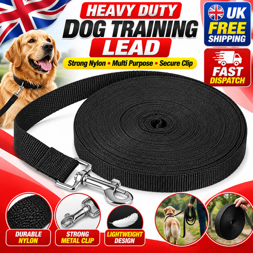 Extra long pet training - long, lead