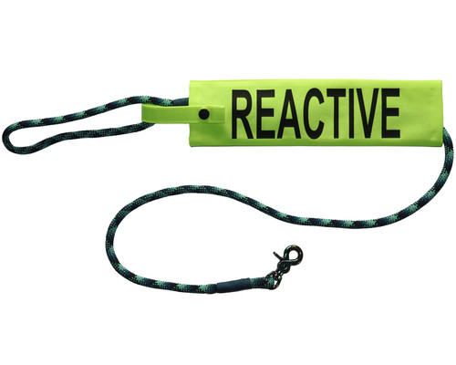 Nervous reactive dog lead - /,