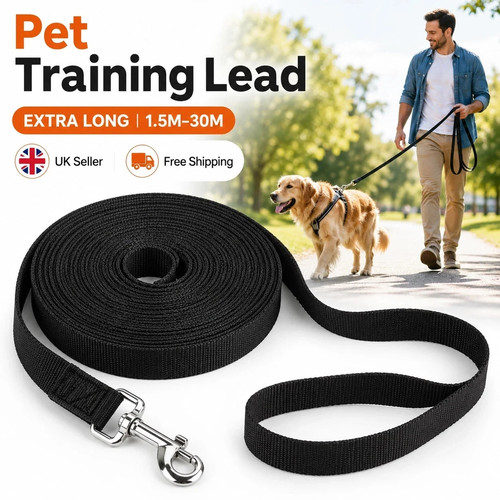 Extra long pet - extra, training