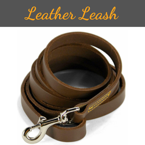 Pet dog leash heavy - leash, duty