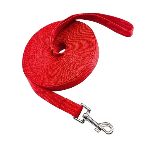 10m dog training - lead, –