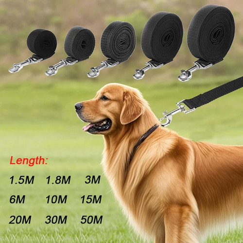 Extra long dog - dog, training