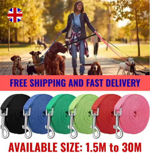 Extra long dog - extra,