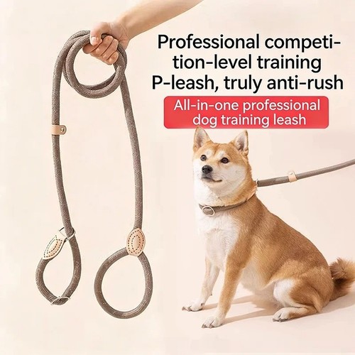 Heavy duty dog slip lead - dog, no