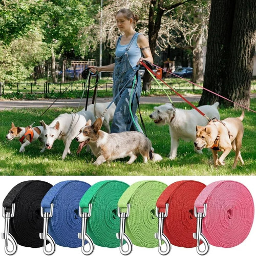 Extra long dog - dog, lead