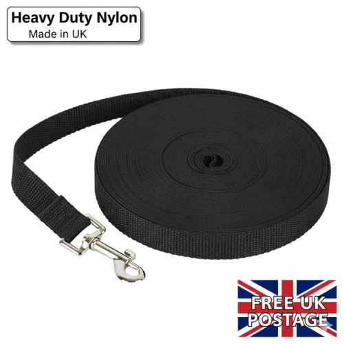 Extra long dog training - extra, lead