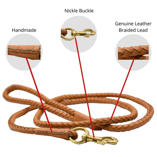 Leather dog training - dog, leash