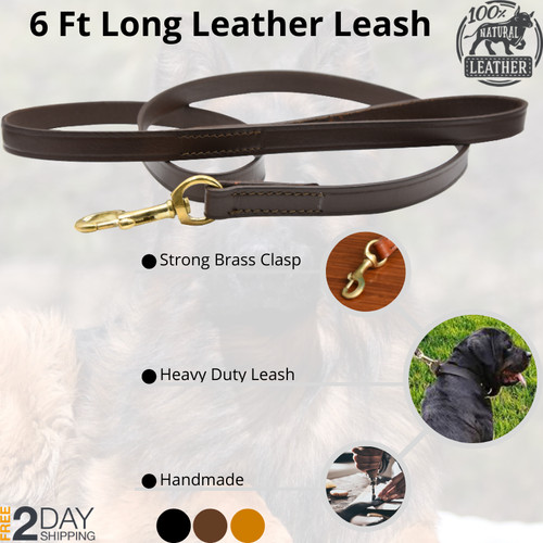 Leather dog leash ft - 6,