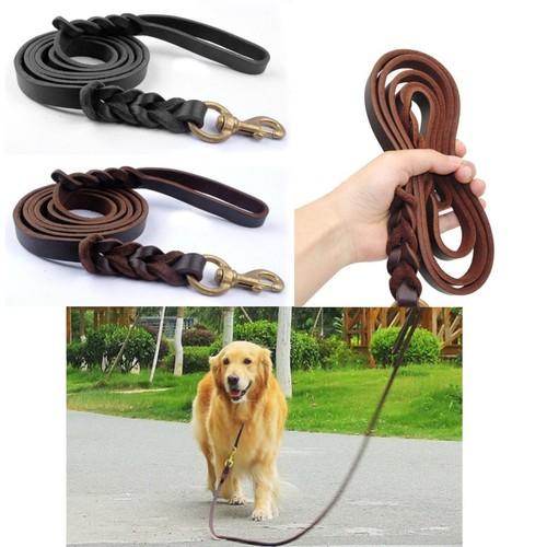 Genuine leather braided dog - genuine,