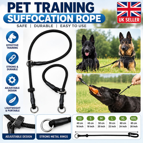 Slip collar for dogs heavy - collar,